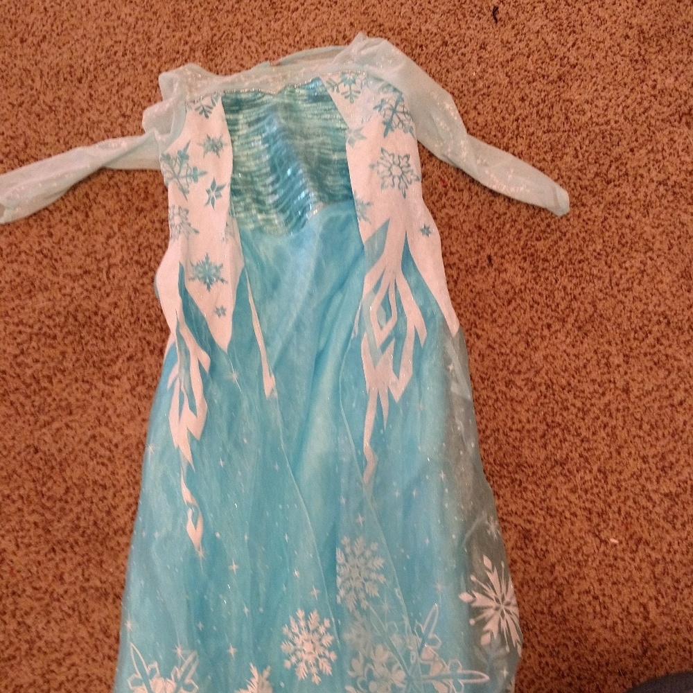 Frozen costume